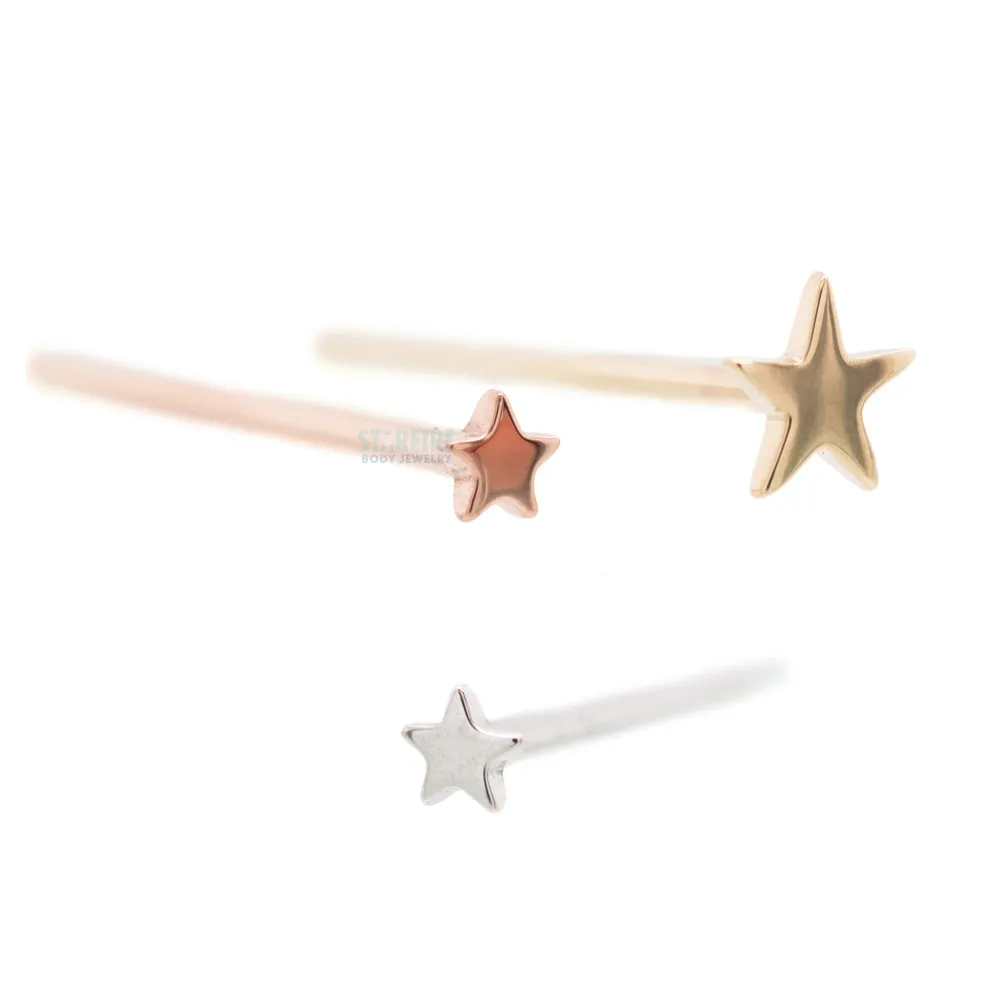 Flat Star Nostril Screw in Gold