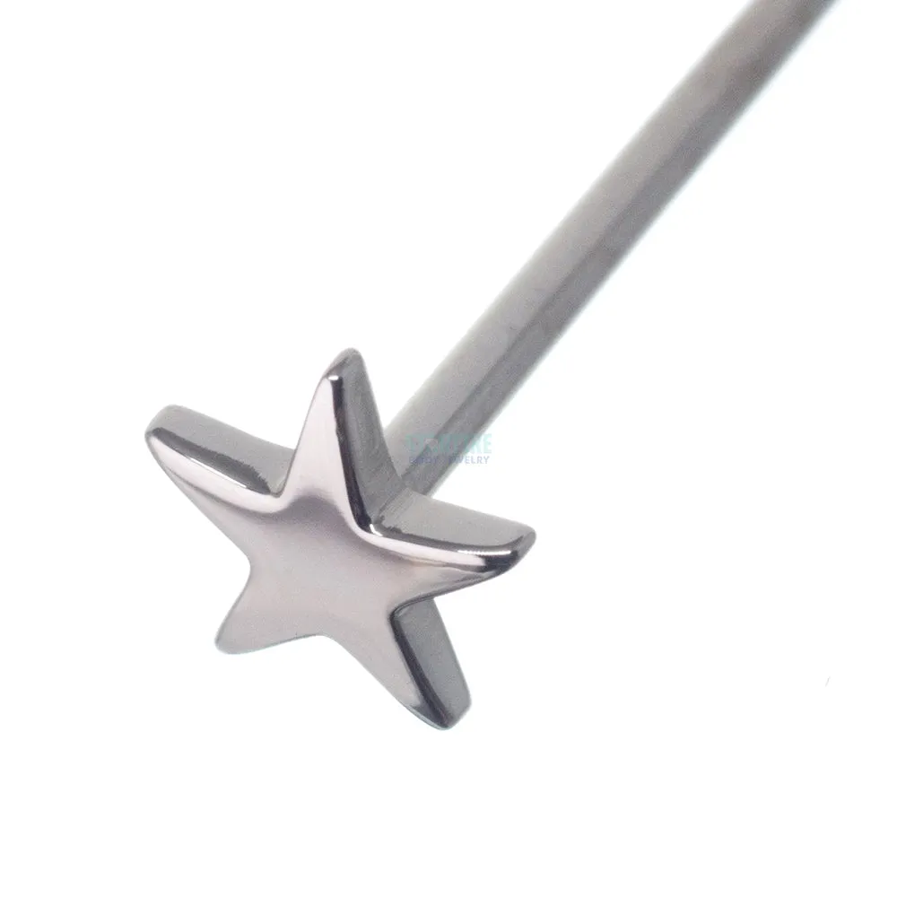 Flat Star Nostril Screw in Gold