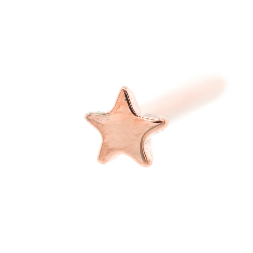 Flat Star Nostril Screw in Gold