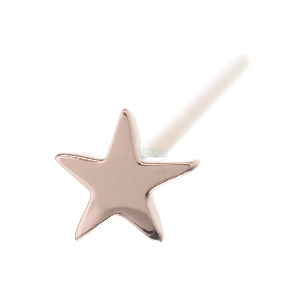 Flat Star Nostril Screw in Gold