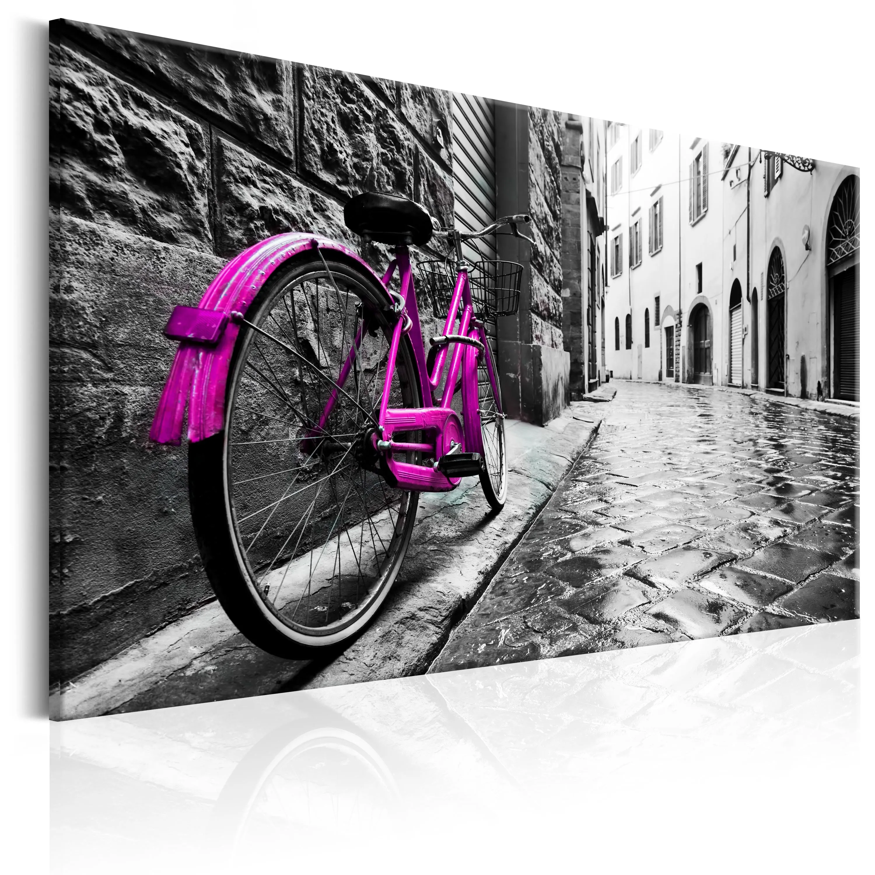 Quadro Vintage Pink Bike