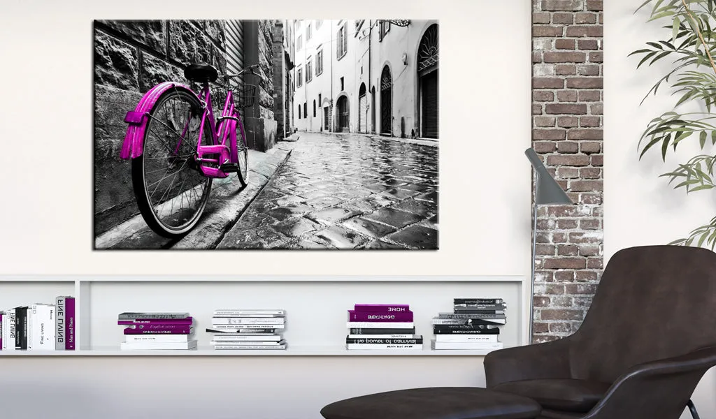 Quadro Vintage Pink Bike